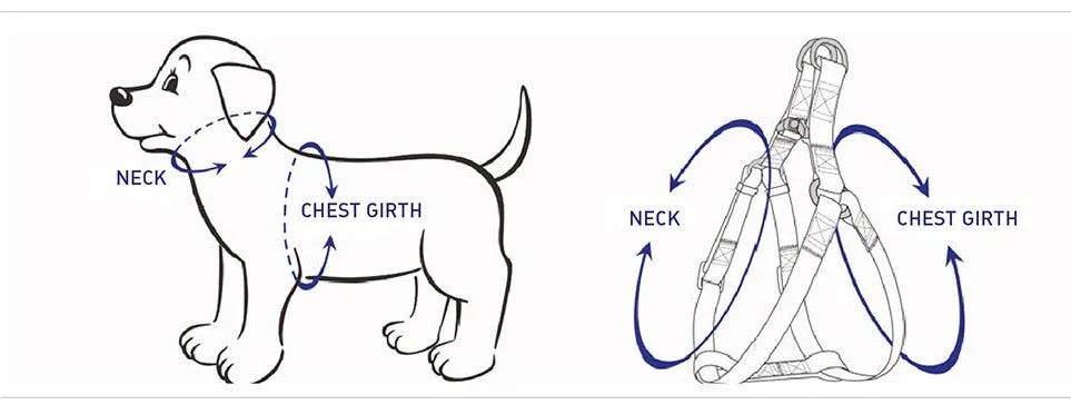 Step-in Dog Harness, Mint Green - Image 2