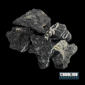 Stone - Black Seiryu