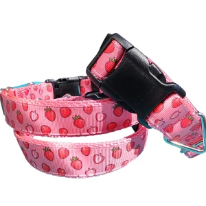 Strawberry Slice Pink Nylon Dog Collar MD, LG, XL, Leash
