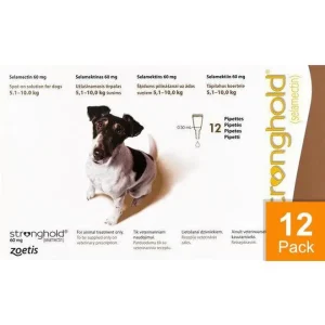 Stronghold Brown Dogs 11