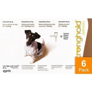 Stronghold Brown Dogs 11