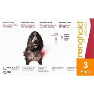 Stronghold Red Dogs 22