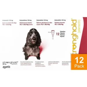 Stronghold Red Dogs 22