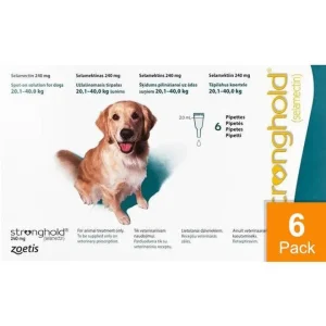 Stronghold Teal Dogs 44