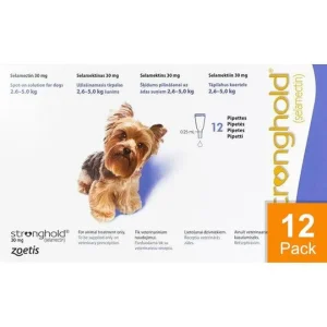 Stronghold Violet Dogs 5