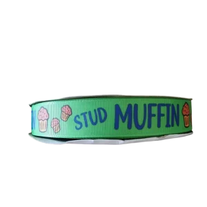 Stud Muffin Nylon Dog Collar