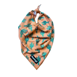 Succa For You Cooling Bandana