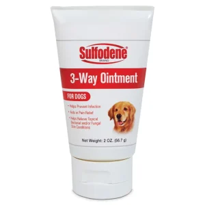 Sulfodene Wound Care Ointment 2 oz