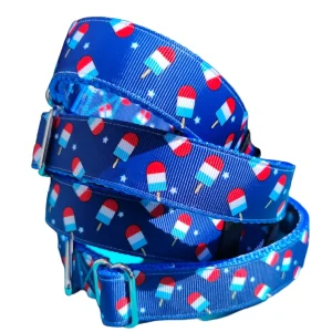 Summer Pop Blue Nylon Dog Collar MD, LG, XL, Leash