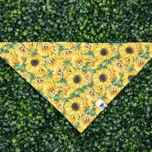Sunflower Bandana