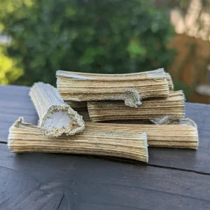 Sunflower Mini Logs | Now Larger Pieces