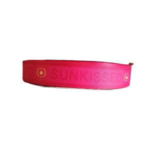 Sunkissed Nylon Dog Collar