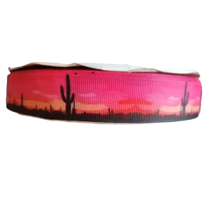 Sunset Cactus Nylon Dog Collar