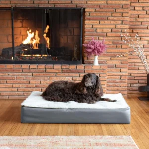 Super Orthopedic Lounge Dog Bed w/ Cream Sherpa