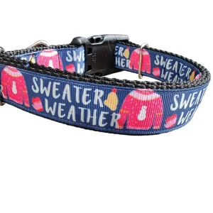 Sweater Weather Nylon Dog Collar