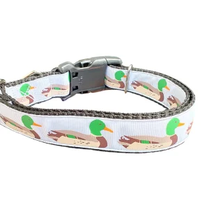 Swimming Ducks Nylon Dog Collar