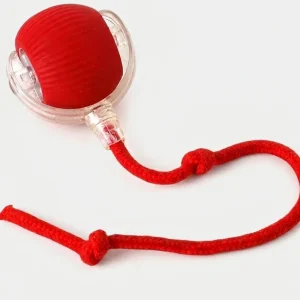 Talking Dog Club Automatic Rotating Interactive LED Ball for Cats, Kittens and Puppies (Red)