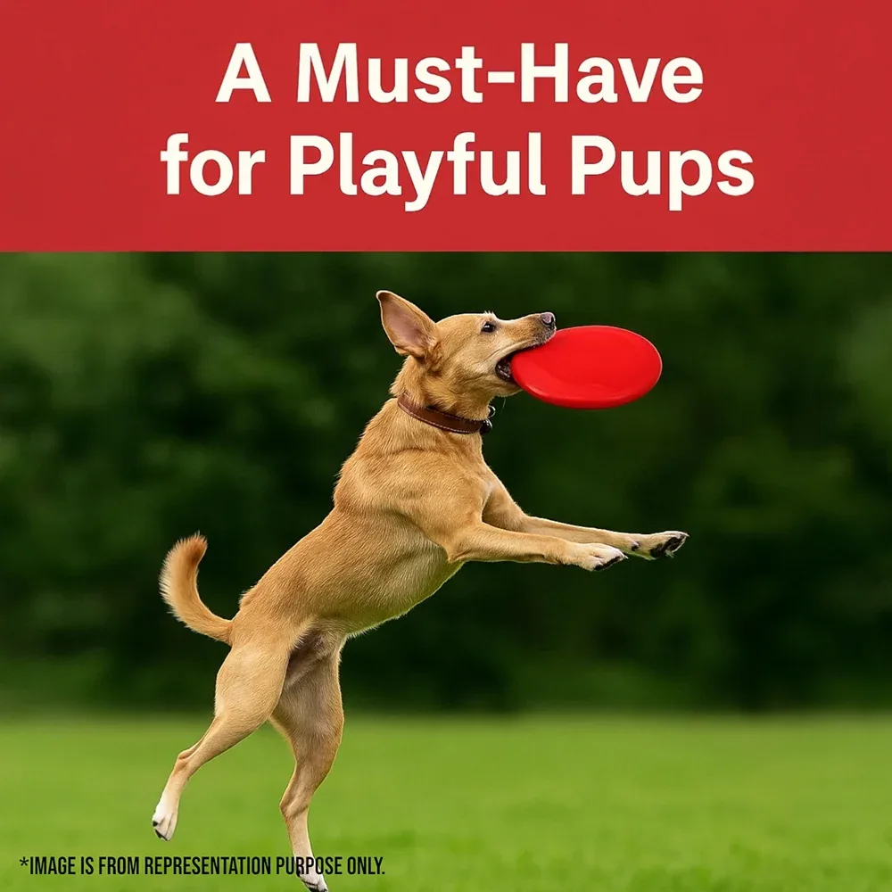 Talking Dog Club Pop Light weight Frisbee Toy for Dogs (Red) - Image 2