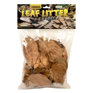 Terrarium Leaf Litter