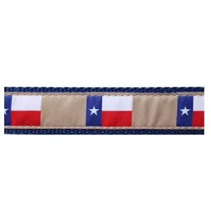Texas Flag