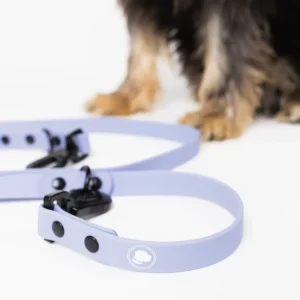 The Modern Dog Company - Lavender Purple Adjustable Leash