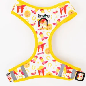 The Modern Dog Company - Yeehaw Harness