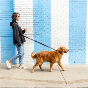 The Modern Dog Company - Black Extension Leash