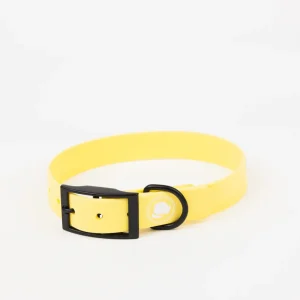 The Modern Dog Company - Daffodil Yellow Collar (Weather + Odor Resistant)