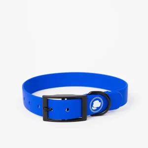 The Modern Dog Company - Royal Blue Collar (Weather + Odor Resistant)