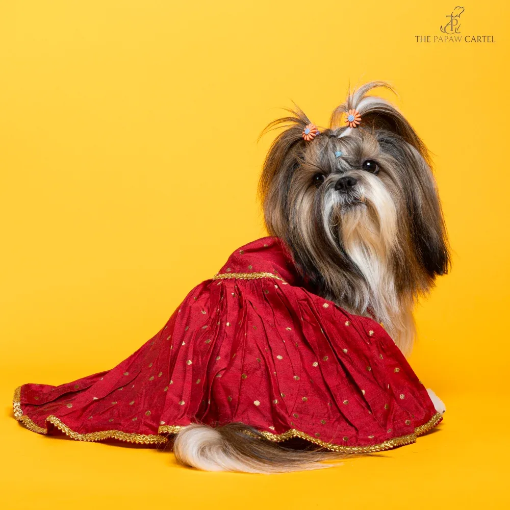 The Papaw Cartel Desi Girl in Banarasi Polka Dot Gown for Dogs (Red)