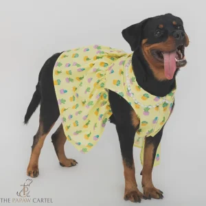 The Papaw Cartel Happy Cactus Dress for Dogs (Lime Yellow)