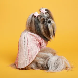 The Papaw Cartel Mirrored Sherwani for Dogs (Pink)