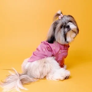 The Papaw Cartel Sequin Embroidered Sherwani For Dogs (Onion Pink)