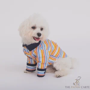 The Papaw Cartel Stripe Shirt for Dogs (Multicolor)