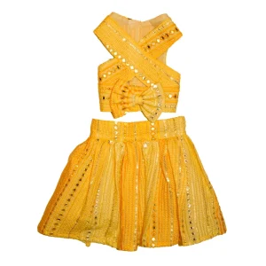 The Papaw Cartel Sunrise Ghagra Choli with Mirror Embroidery for Dogs (Yellow)