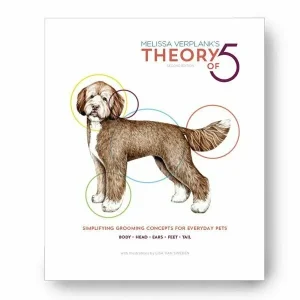 The Theory of Five 2nd Edition by Melissa Verplank