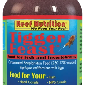 Tigger-Feast