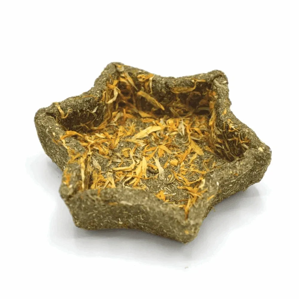 Timothy Star Dish (Enriched Life by Oxbow)