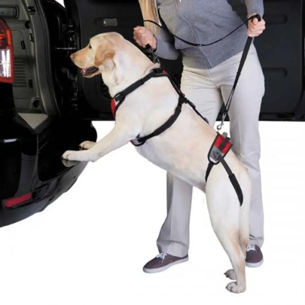 Total Pet Health Lift & Go Lead - Image 2