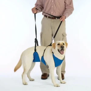 TPH Lift & Lead 4-in-1