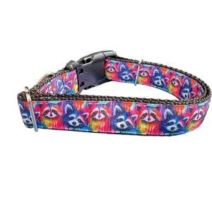 Trash Panda Raccoons Nylon Dog Collar