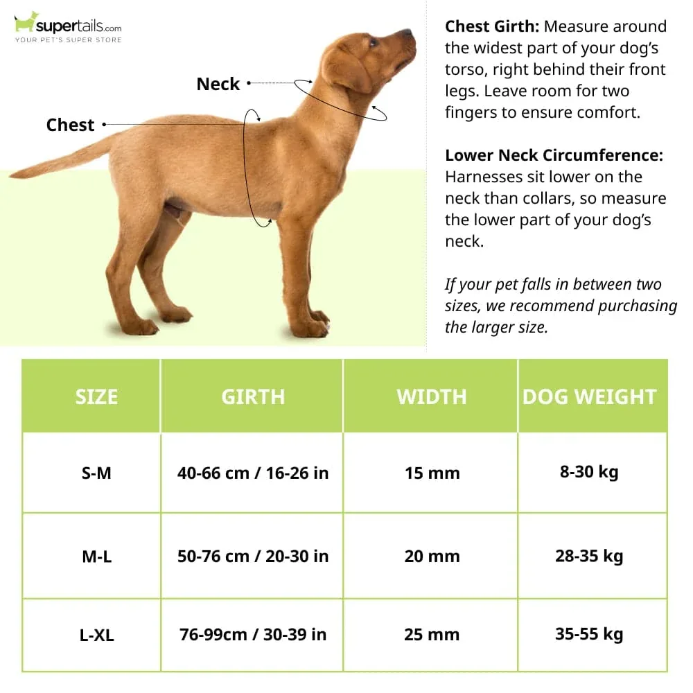 Trixie Classic H Harness for Dogs (Black) - Image 2