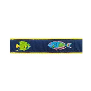 Tropical Fish