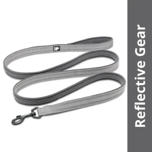 Truelove Classic Reflective Leash for Dogs (Grey)