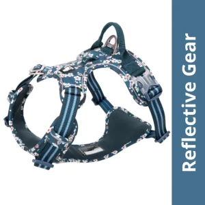 Truelove Floral No Pull 3M Reflective Harness for Dogs (Saxony Blue)