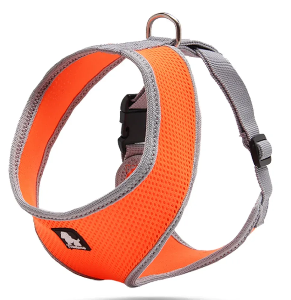 Truelove Harness for Cats and Small Dogs (Orange)