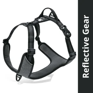 Truelove Harness with Reflective Fabric for Dogs (Black)