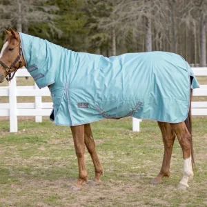 TuffRider 600 D Comfy Winter Medium Weight Turnout Blanket with Combo Neck- 200 GSM- Turquoise- 69
