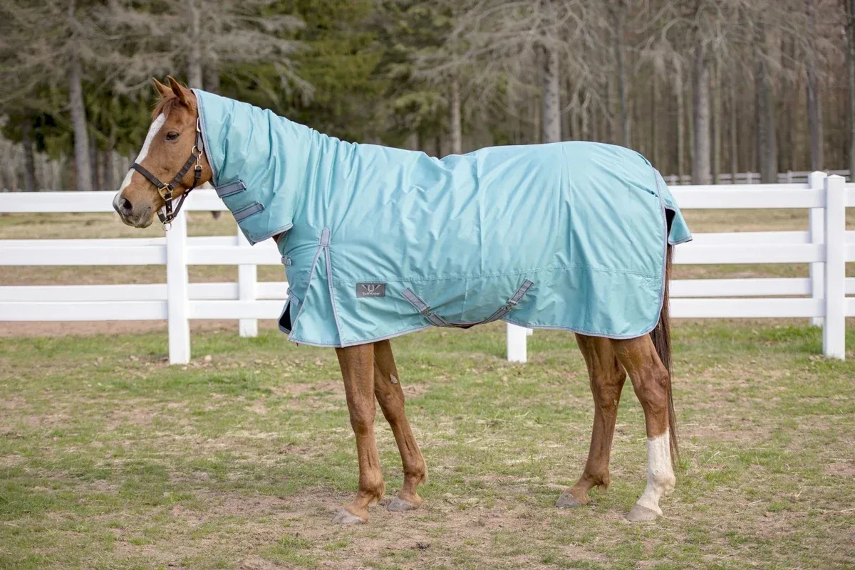 TuffRider 600 D Comfy Winter Medium Weight Turnout Blanket with Combo Neck- 200 GSM- Turquoise- 69