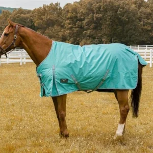 TuffRider 600D Comfy Waterproof Winter Blanket